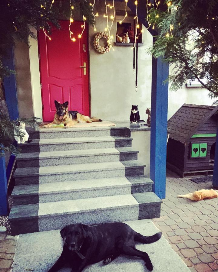 Cat Stone Villa Pisz Buitenkant foto