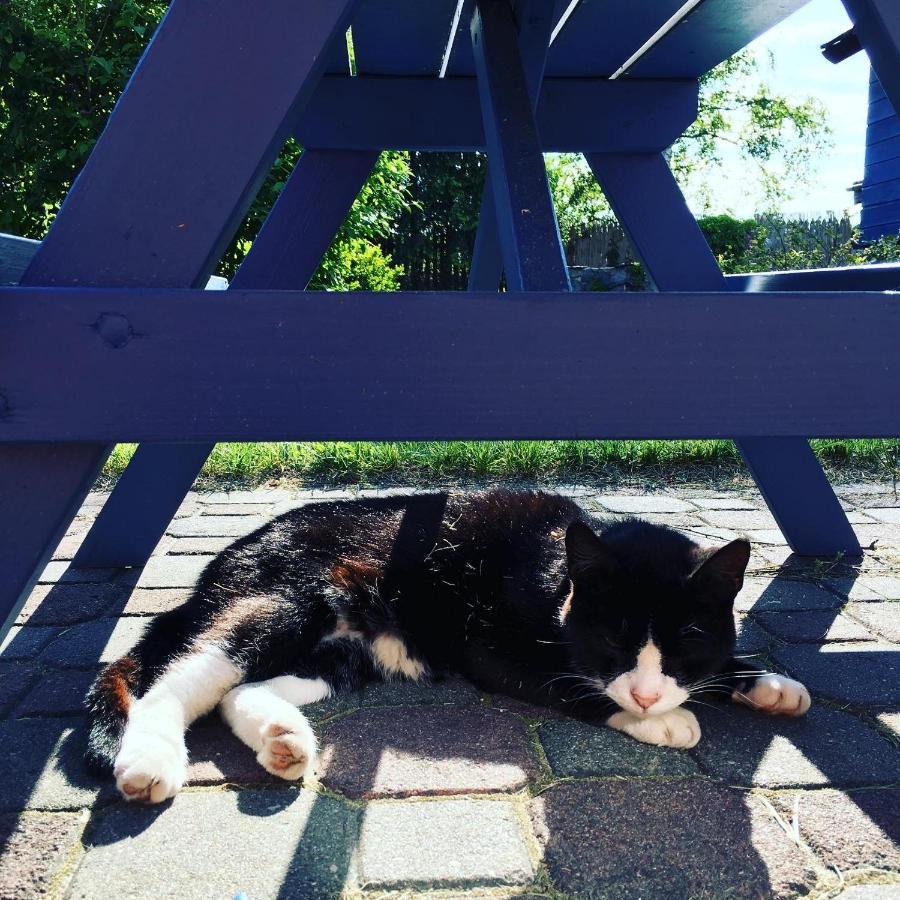 Cat Stone Villa Pisz Buitenkant foto